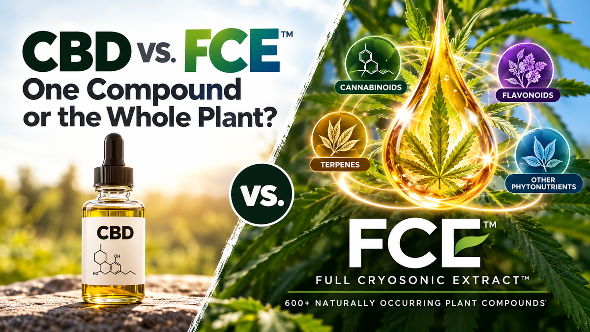 FCE™ vs. CBD: What’s the Difference?