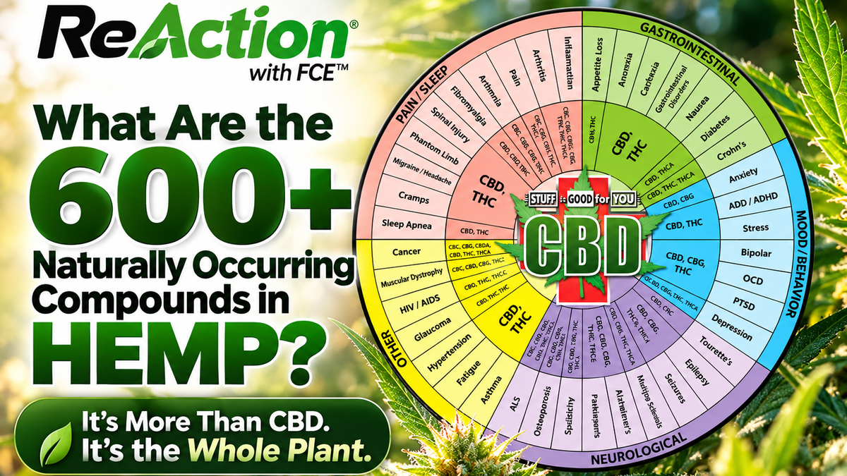 What Are the 600+ Naturally Occurring Compounds in Hemp?